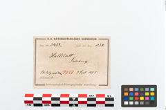Foto von Bronzearmreif (NHMW-PRAE-003482)